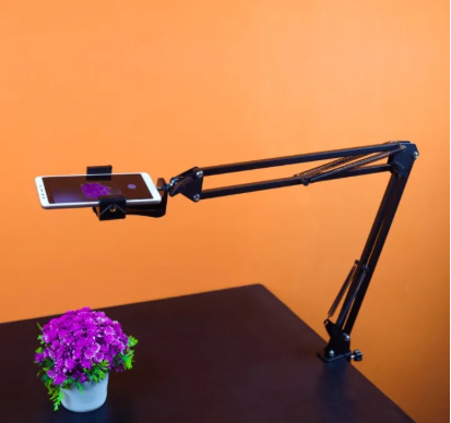 Creator Essentials Collection